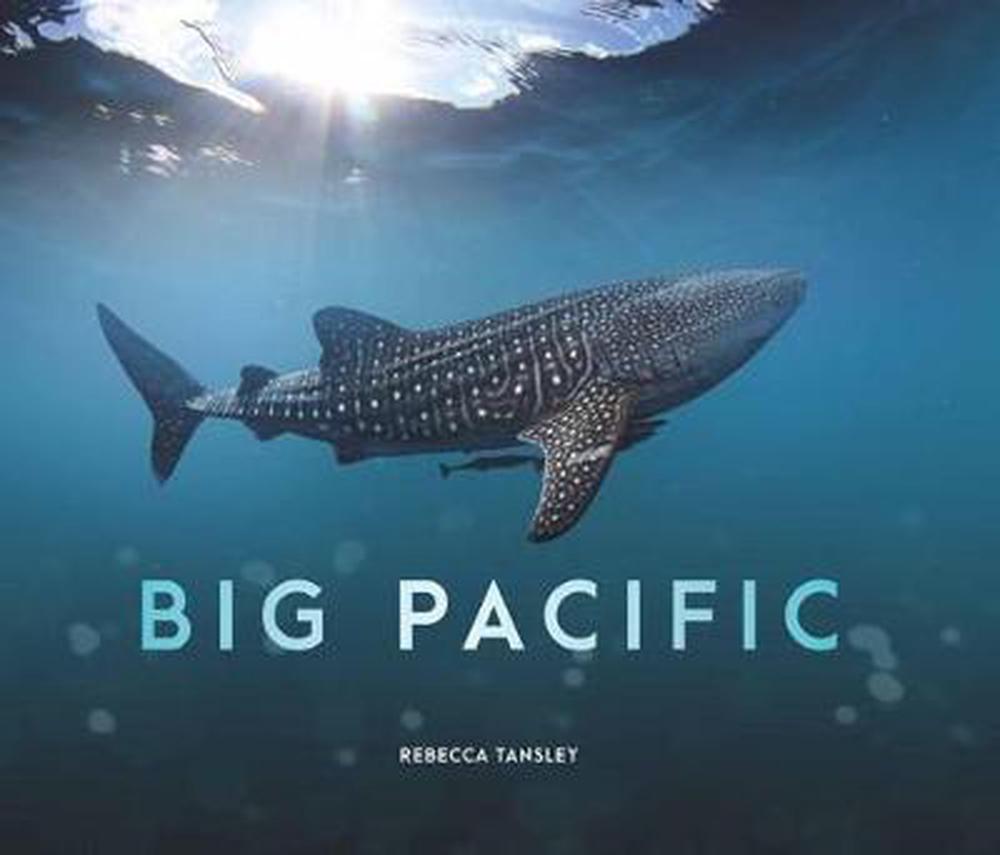 Big Pacific
