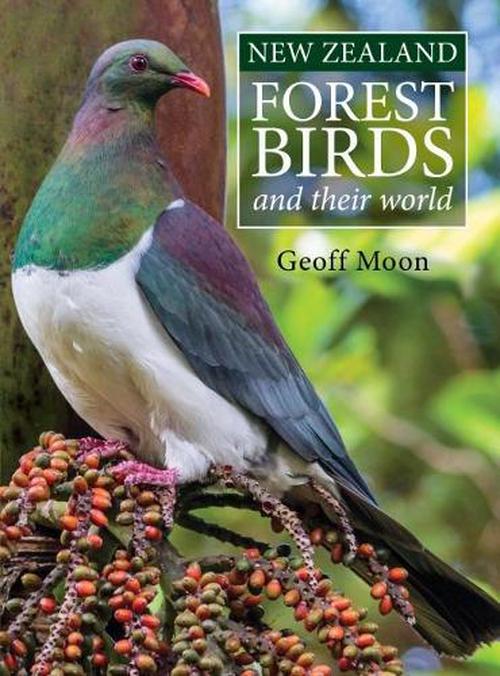 Nz Forrest Birds