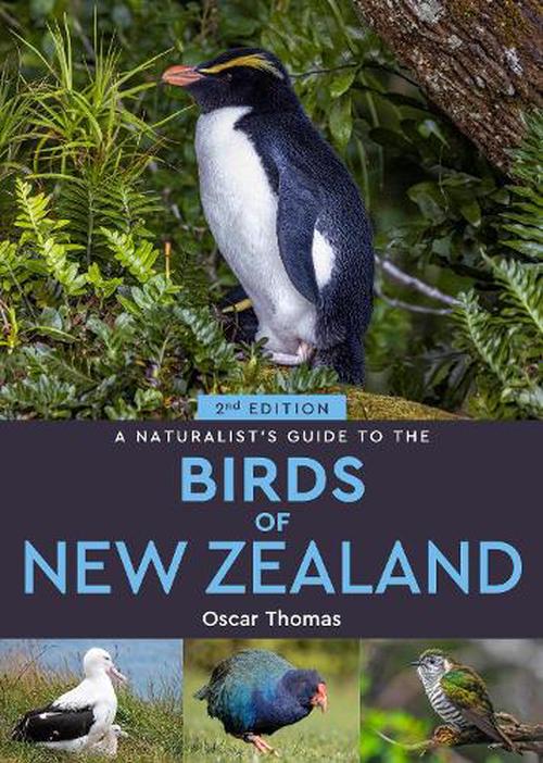 Birds Of New Zealand