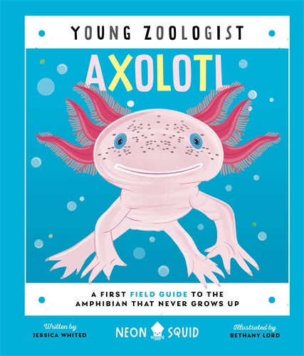 Young Zoologist Axolotl