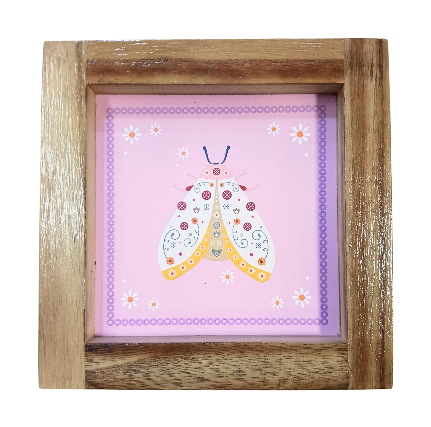 Floral Bug Wooden Art Frame: Moth