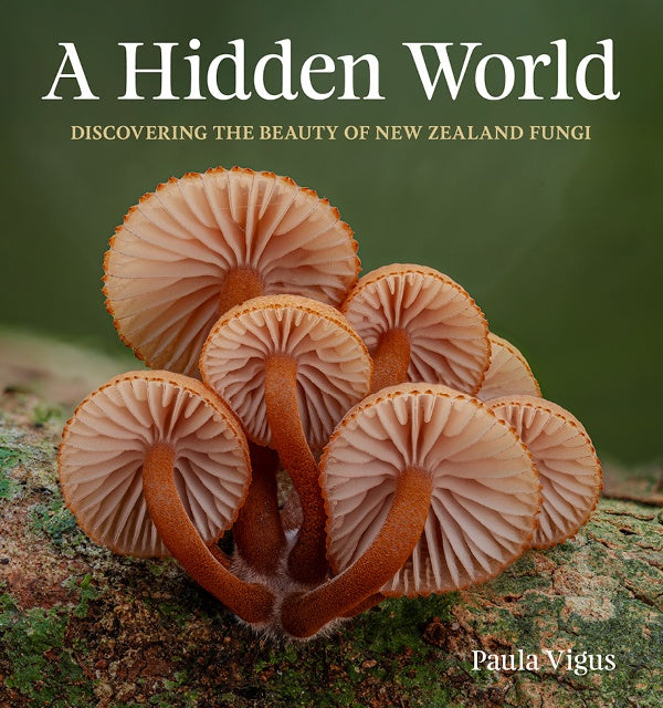 A Hidden World Discovering the beauty of New Zealand fungi Paula Vigus