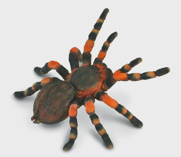Mexican Redknee Tarantula Figure - L