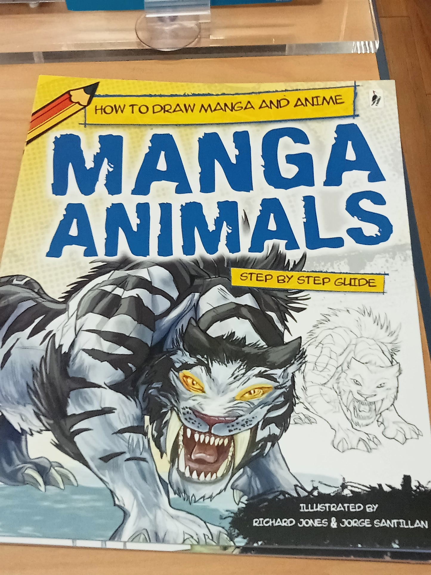 How to Draw Manga and Anime