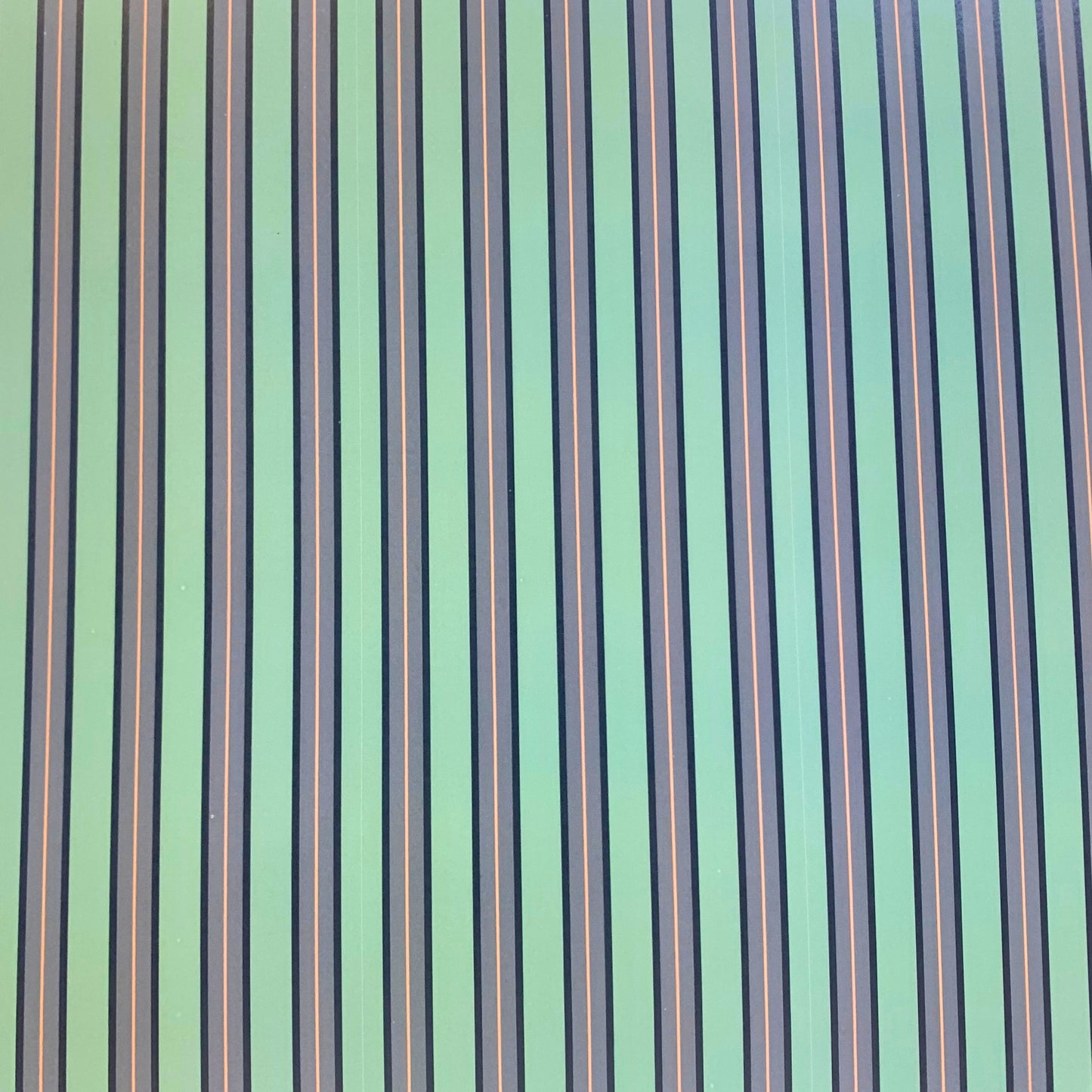 Scrapbook Cardstock- Accent #1D