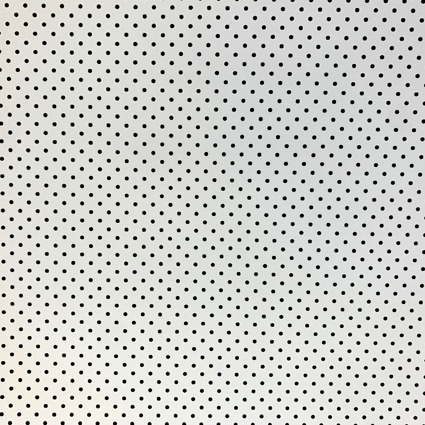 Scrapbook Cardstock -Double Sided Small Dot Black/White