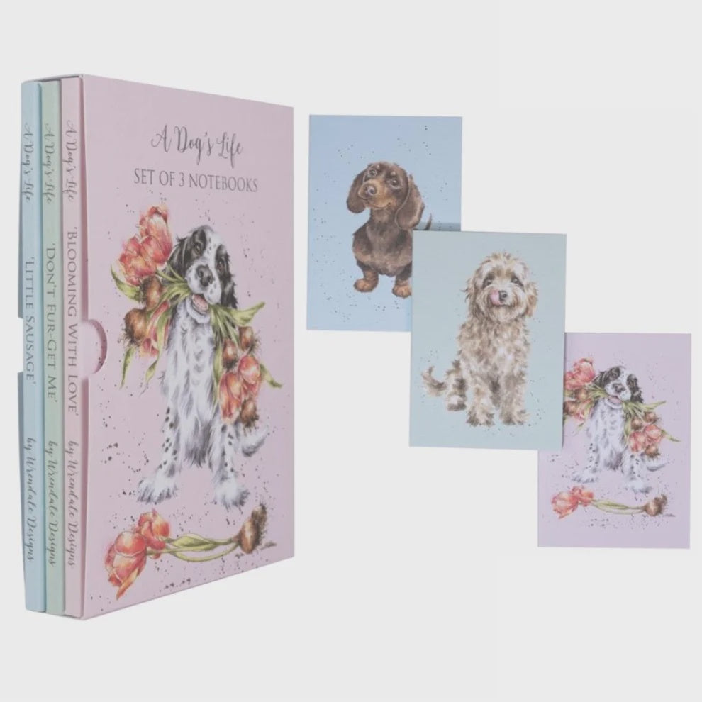 Notebook Set x3 - A Dog's Life