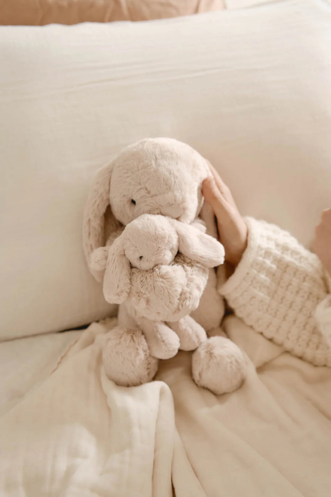 Snuggle Bunnies Frankie the Hugging Bunny Brulee - Jamie Kay