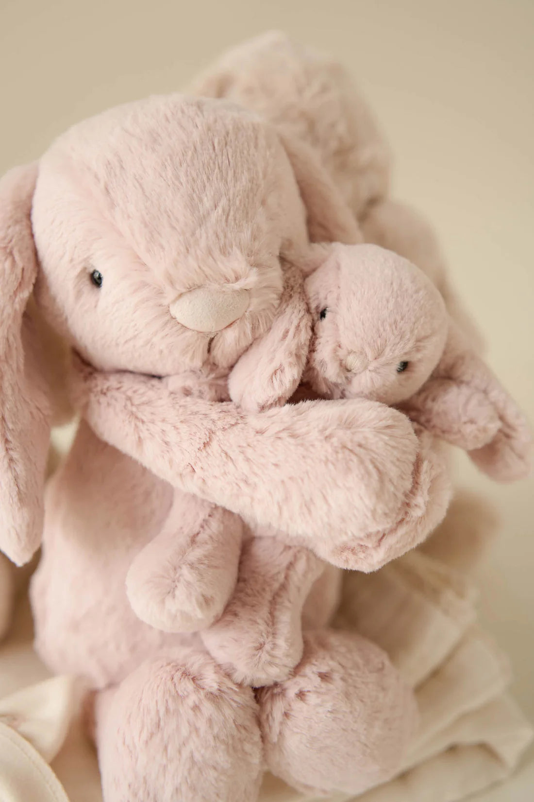 Snuggle Bunnies Frankie the Hugging Bunny Blush - Jamie Kay