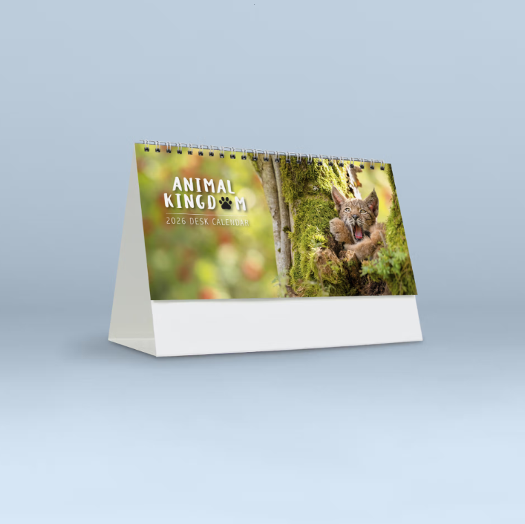 Animal Kingdom Desk Calendar with Envelope 2026