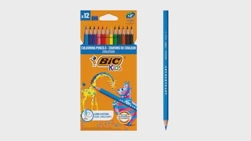 Bic Colouring Pencils 12 Pack