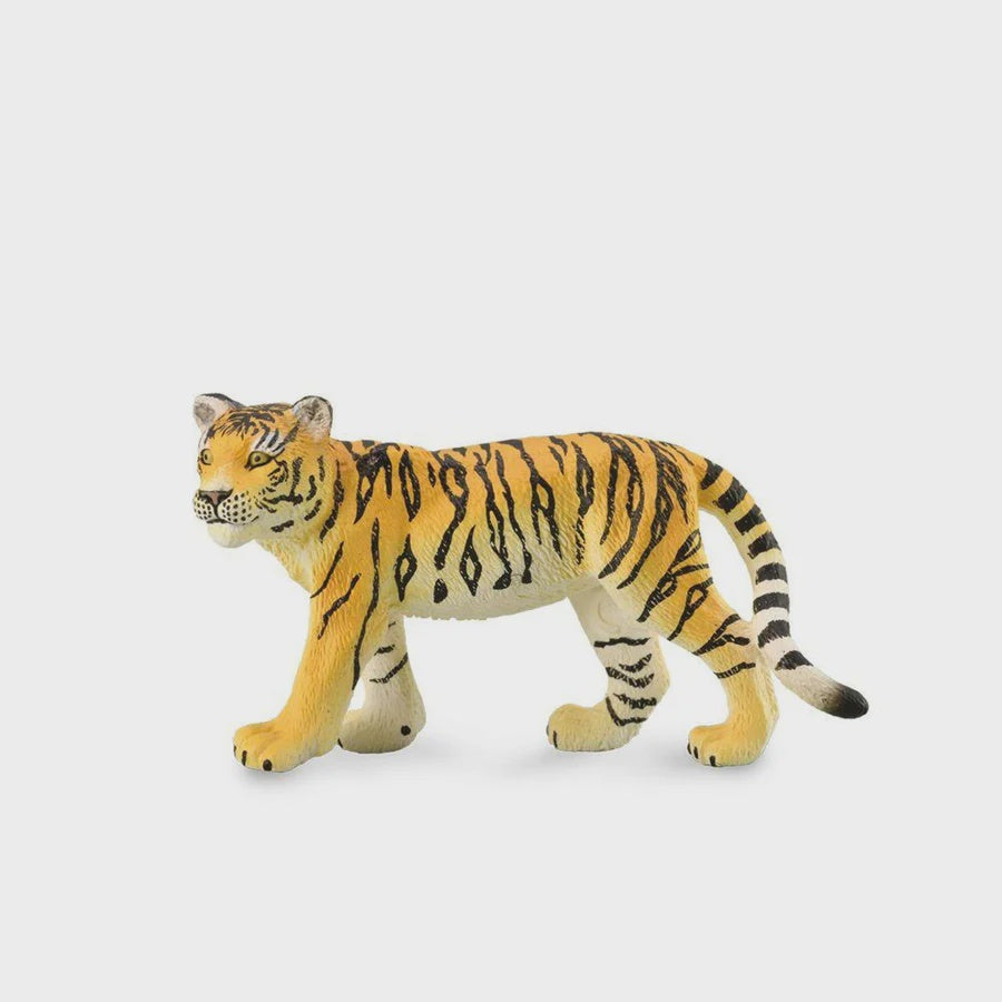 Tiger Cub- Walking