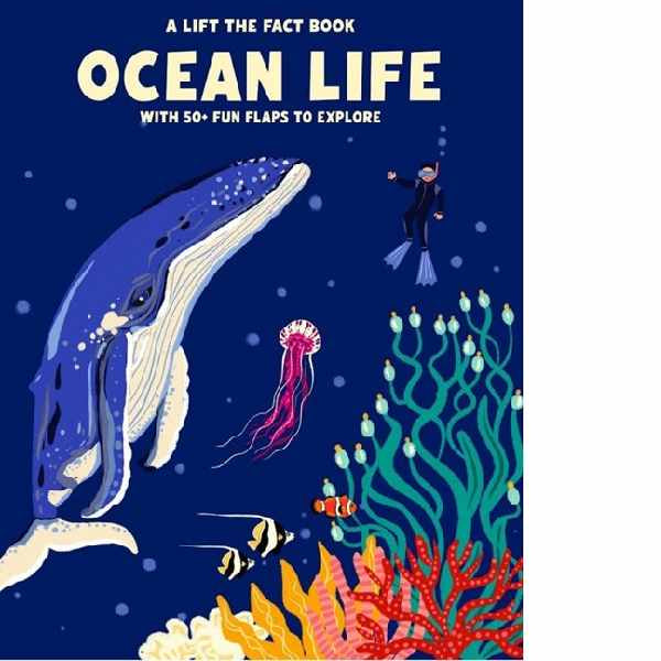 Lift the Fact Ocean Life