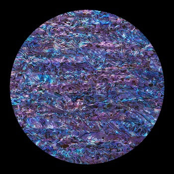 Shell Veneer Paua Royal Purple 50 x 100mm
