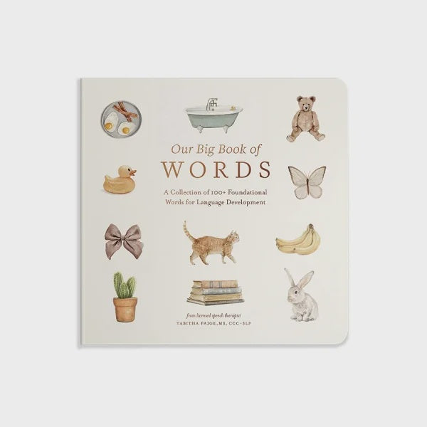 Our Big Book of First Words by Tabitha Paige