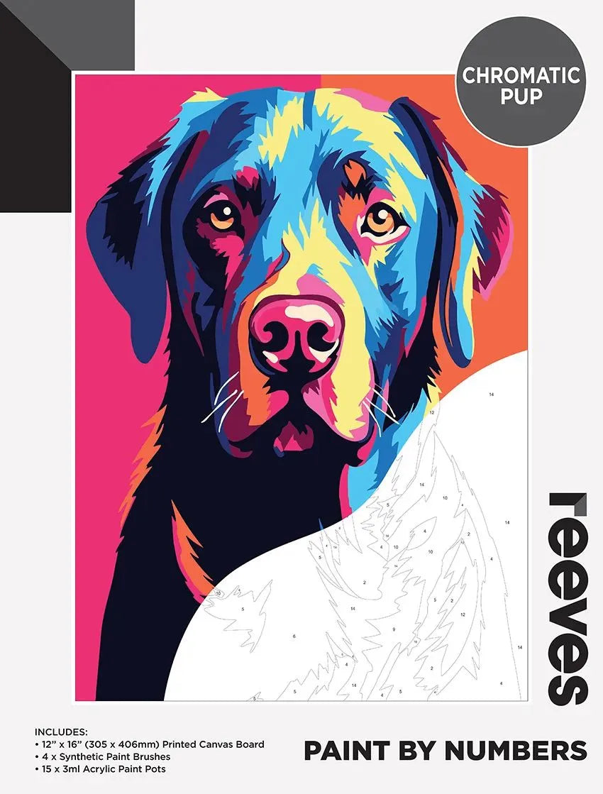 Reeves Paint By Numbers