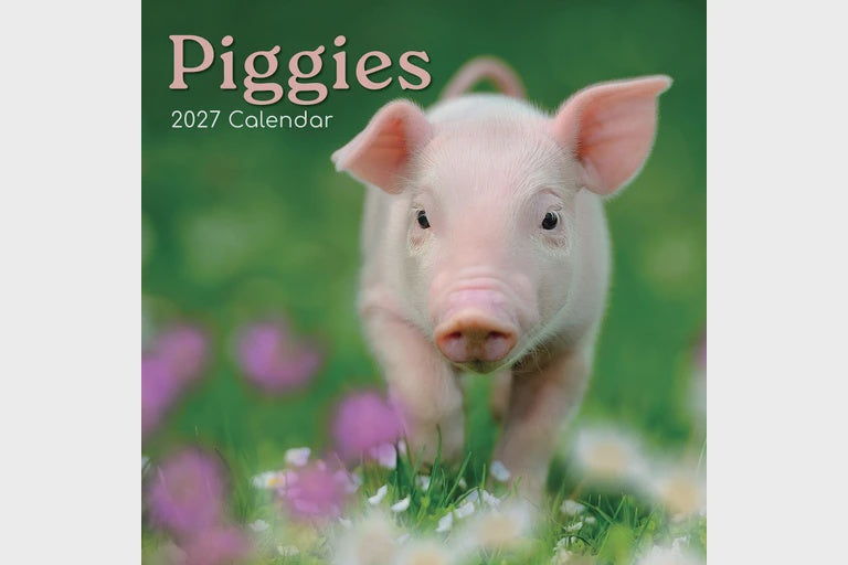 2027 Piggies - Square Wall Calendar