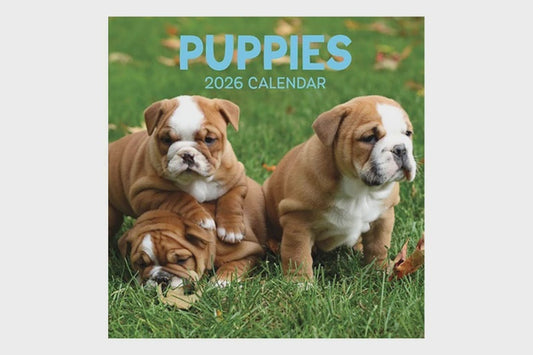 Puppies Wall Calendar 2026
