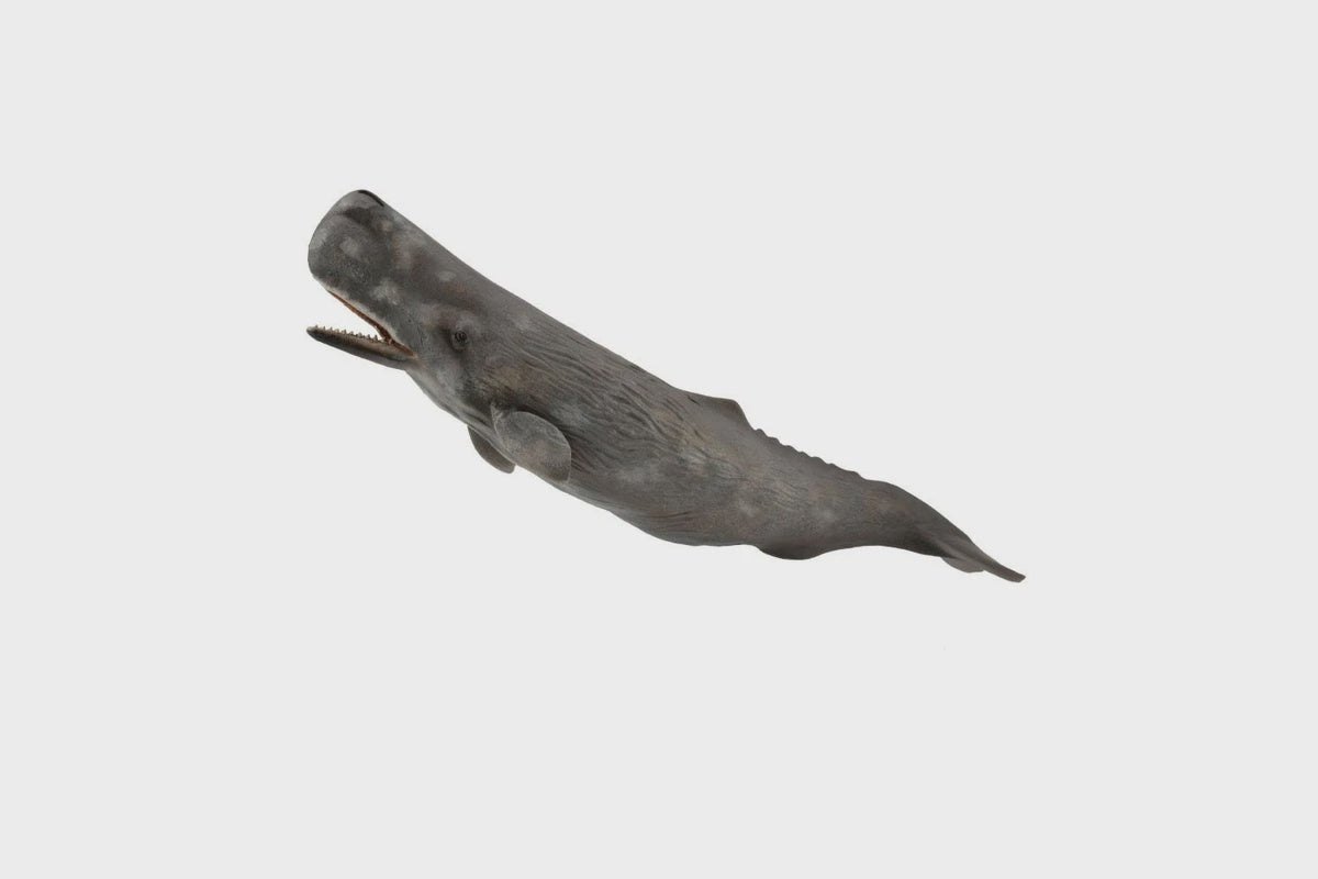 Sperm Whale Figure -Extra Large ( Grey)