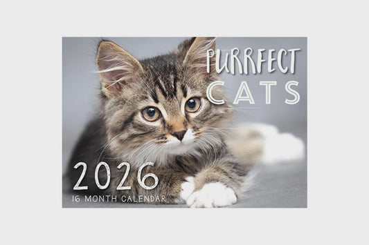 2026 Calendar Purrfect Cats 16-Month Horizontal Wall