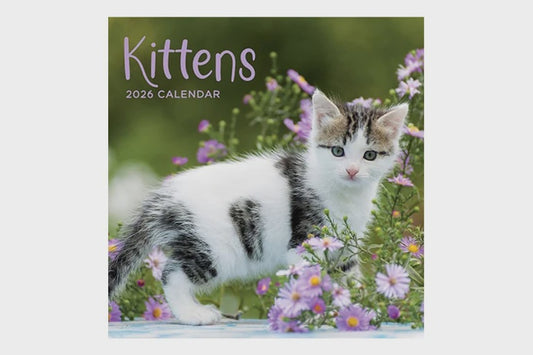 2026 Kittens Square Calendar