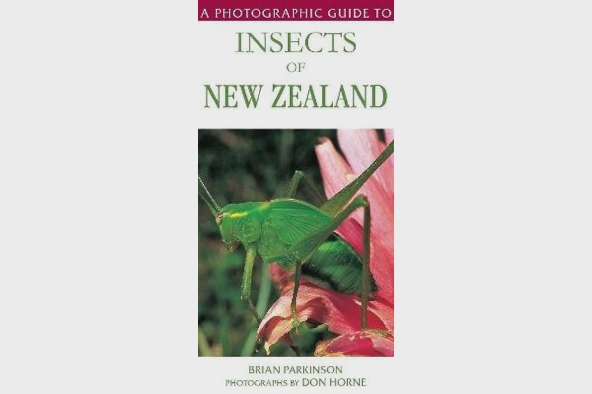 A Photographic Guide to Insects of New Zealand by Brian Parkinson ...