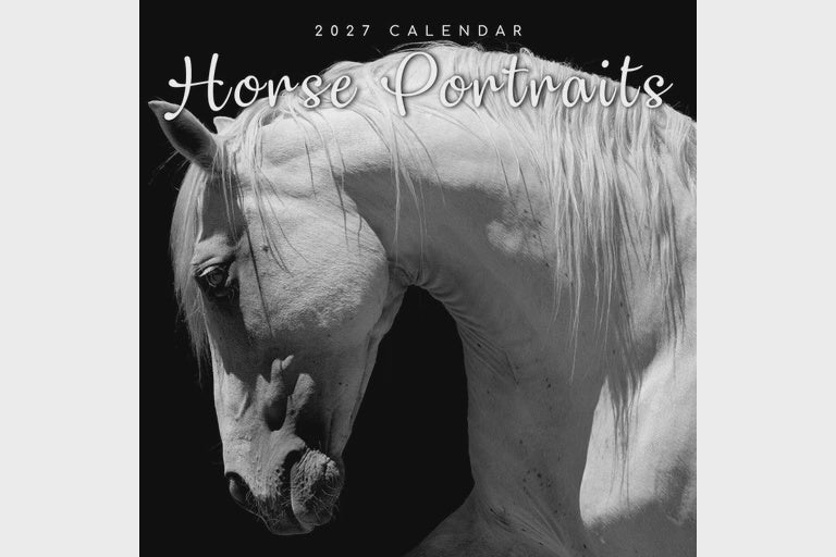Horse Portraits 2027 Wall Calendar