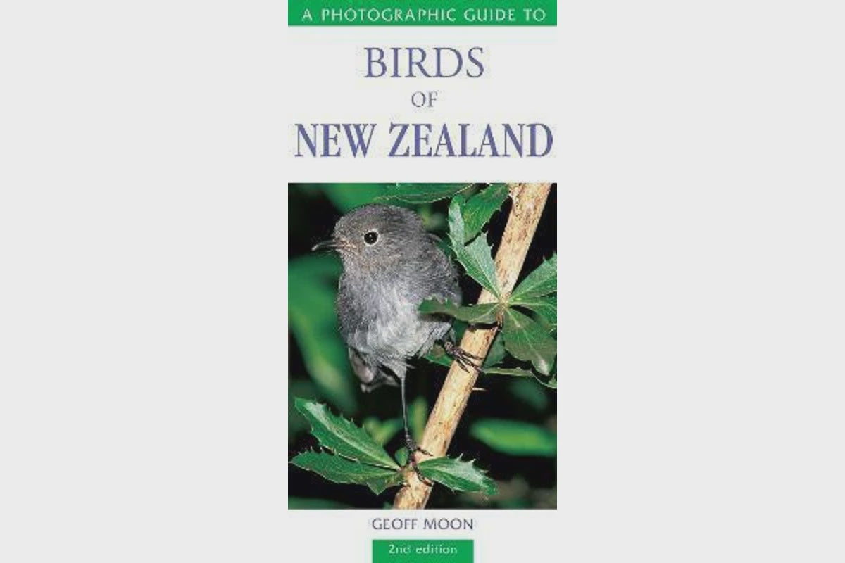 A Photographic Guide to Birds of New Zealand
