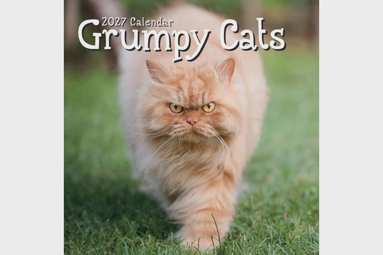 2027 Calendar Grumpy Cats