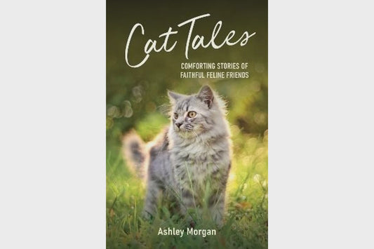 Cat Tales by Ashley Morgan
