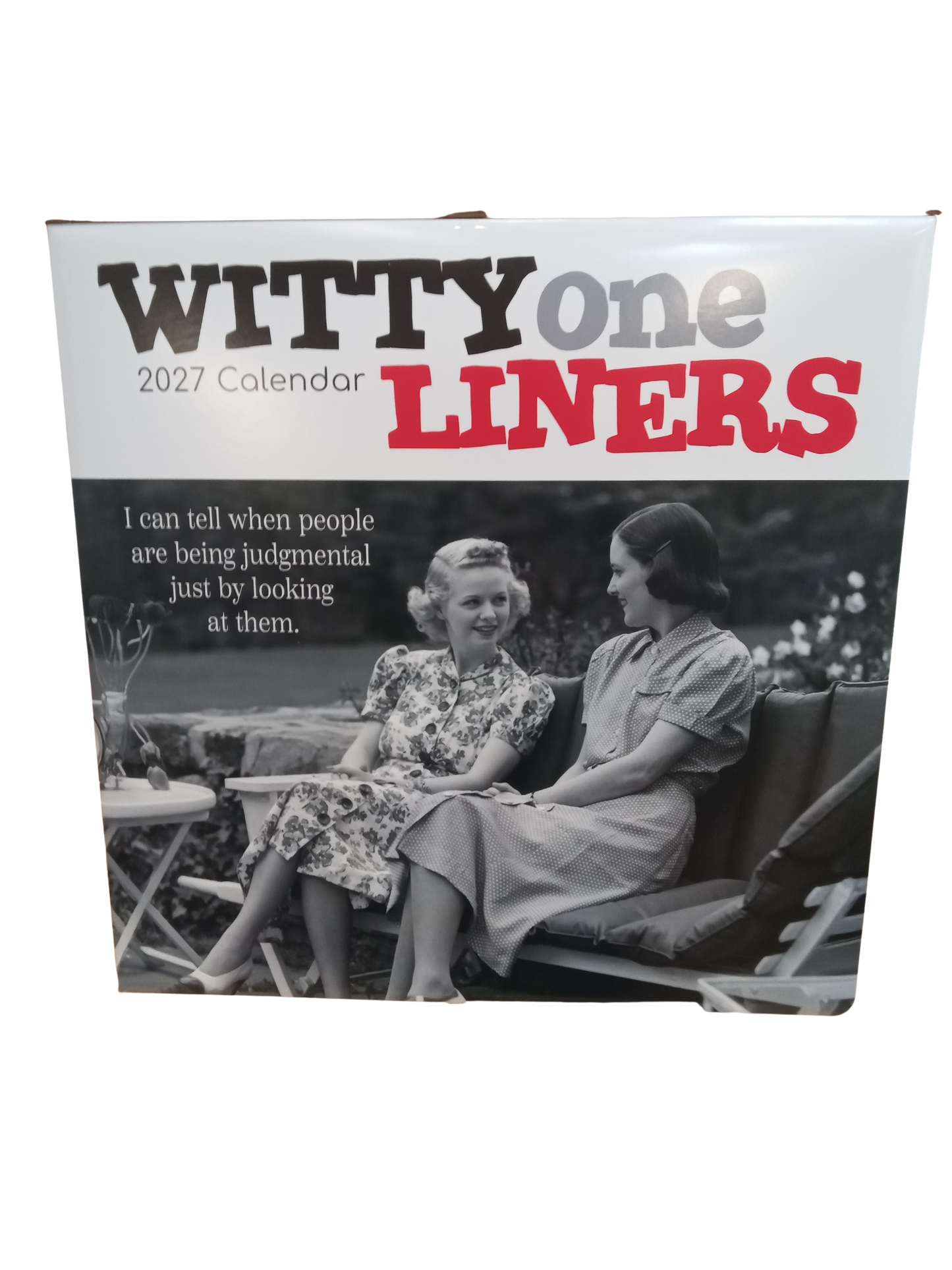 Witty One Liners 2027 Wall Calendar