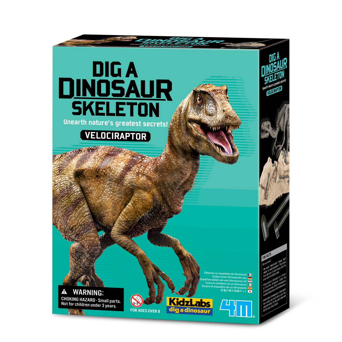 Dig A Velociraptor Skeleton