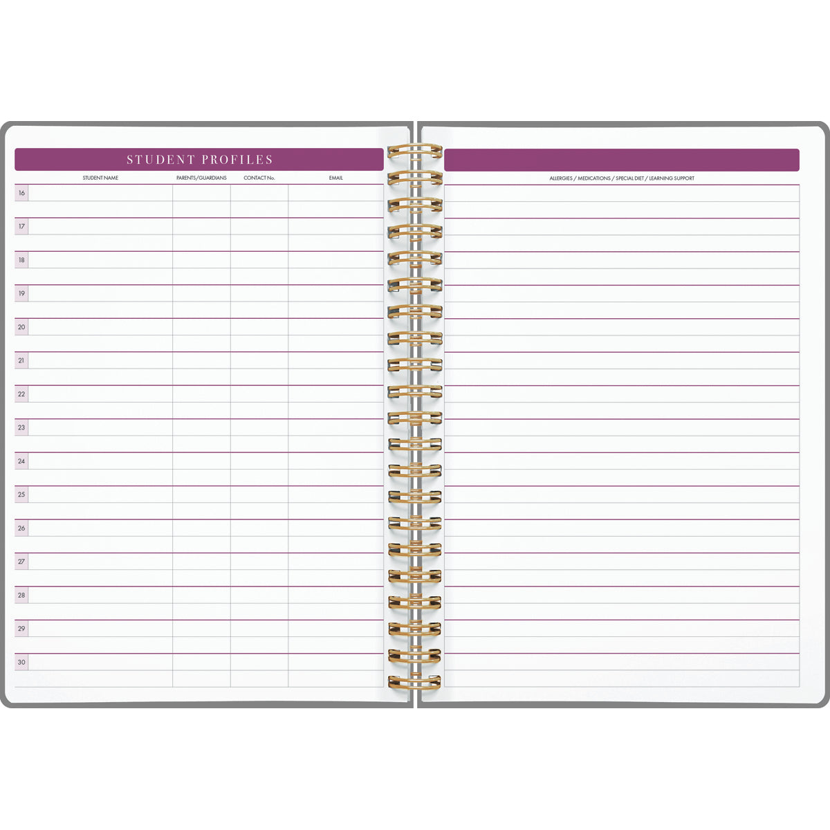 Teachers Planner Collins A4  240 Pages
