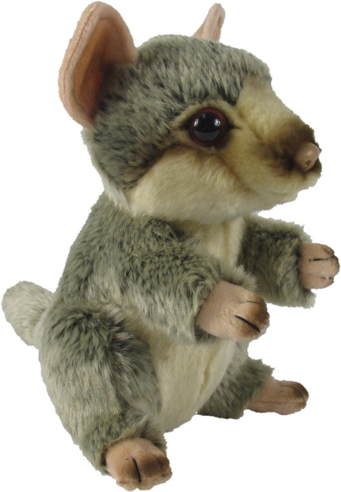 Antics Possum 18cm Soft Toy
