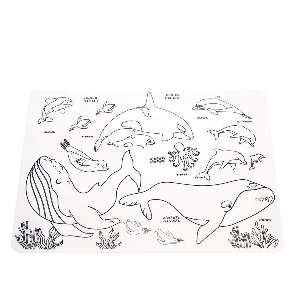 Colour-in Placemats - Moana Rd