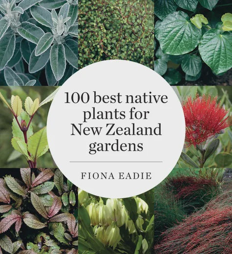 100 Best Native Plants of New Zealand Gardens