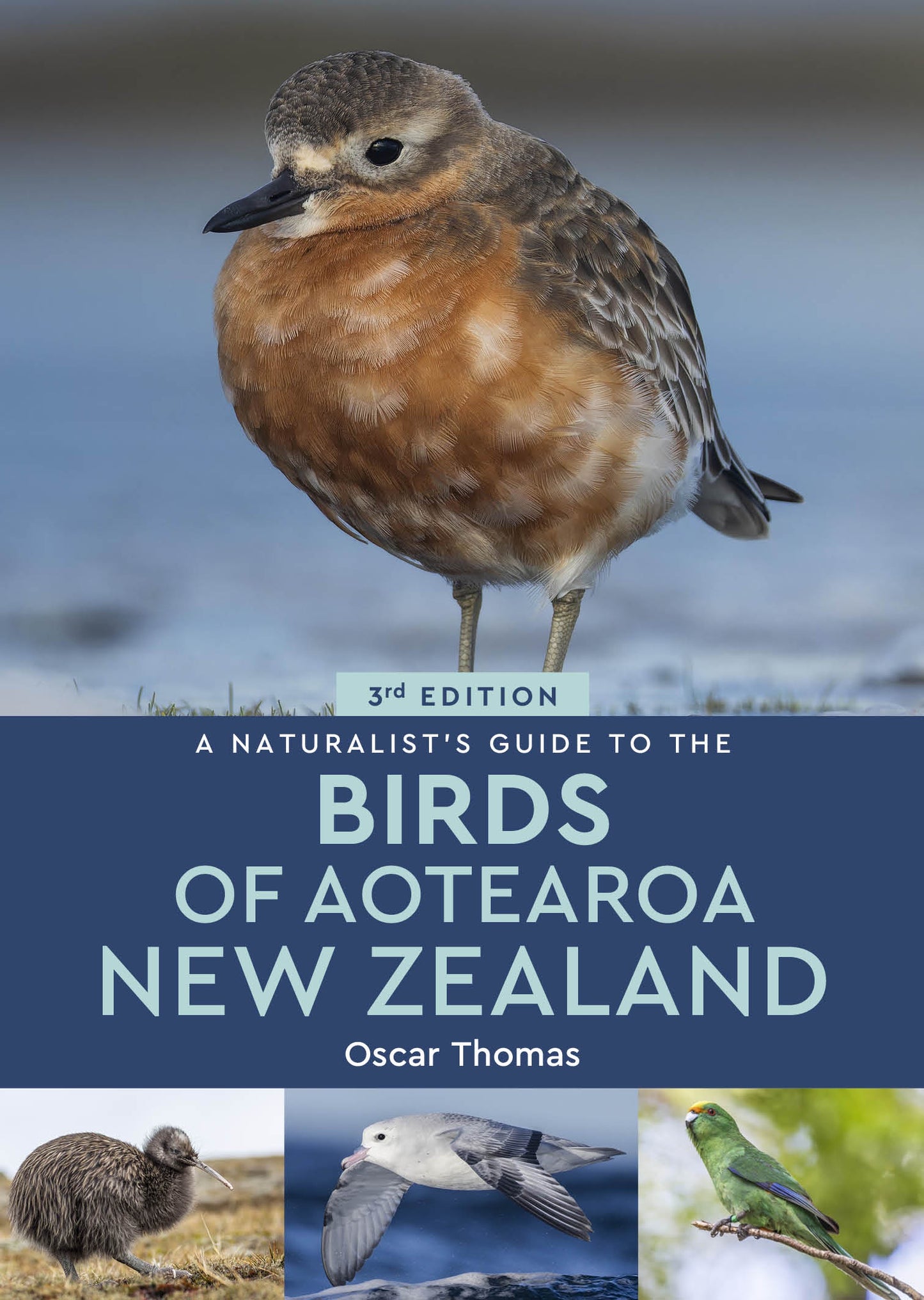 Naturalist’s Guide To The Birds Of Aotearoa New Zealand