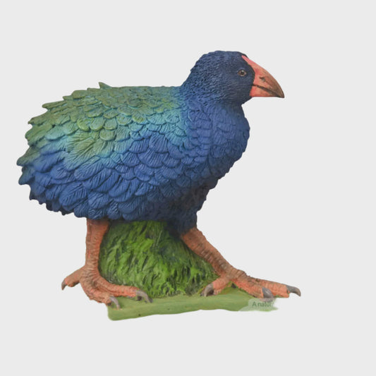 Takahe Figurine - M