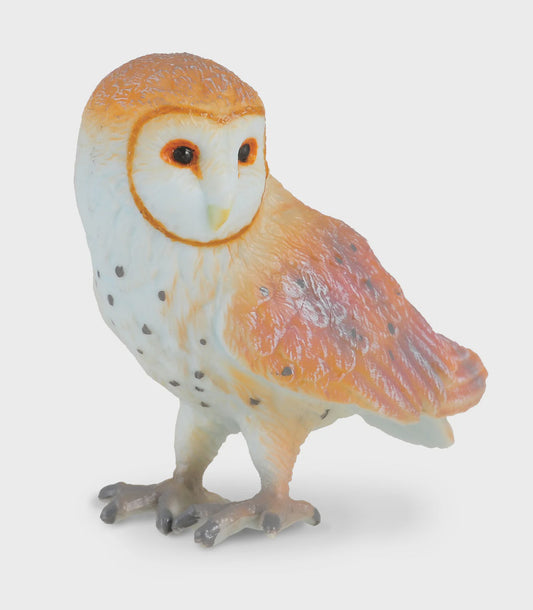 Barn Owl CollectA