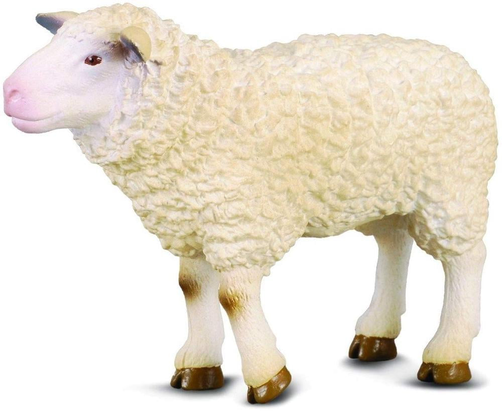 Sheep CollectA