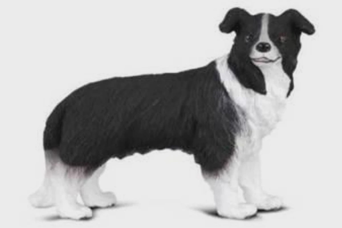 Border Collie Figurine - M