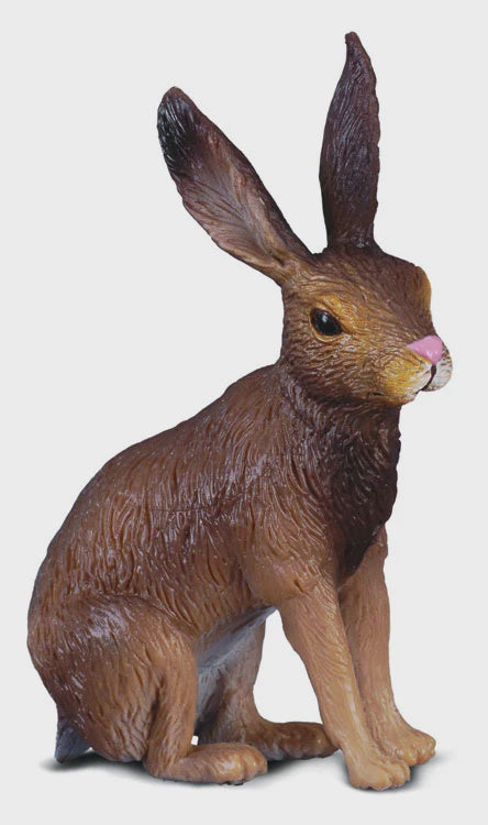 Brown Hare-S