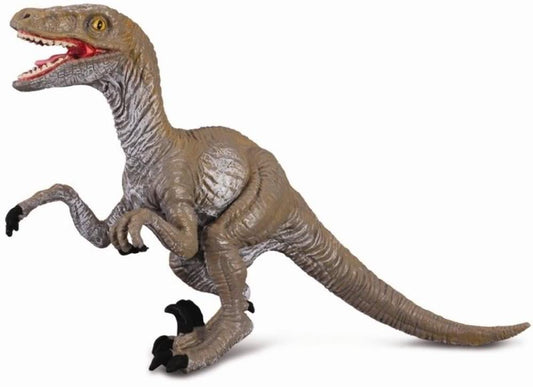 Velacoraptor