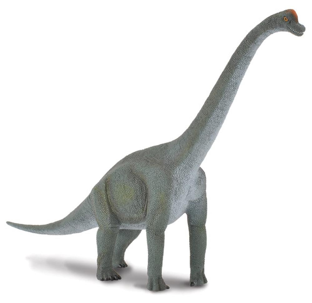 Brachiosaurus