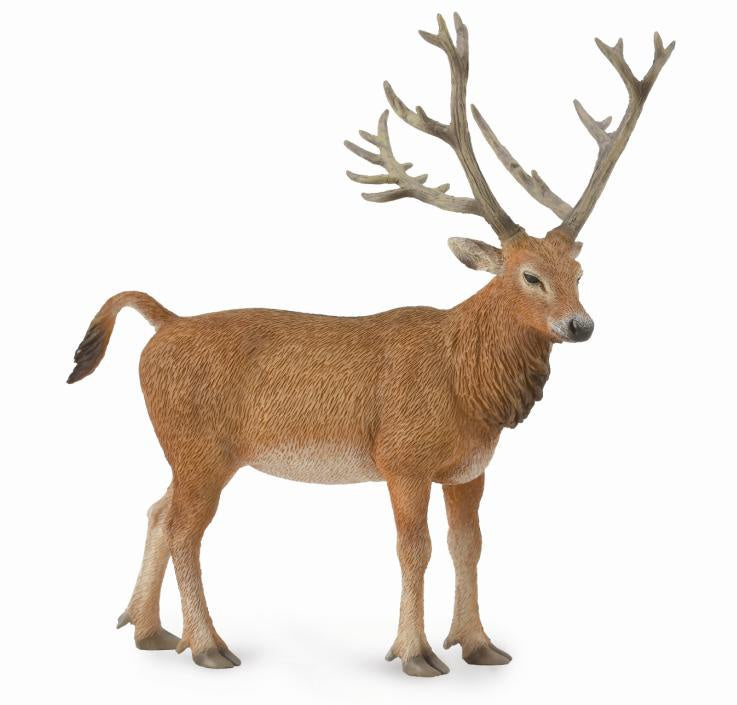 Pere Davids Deer-L