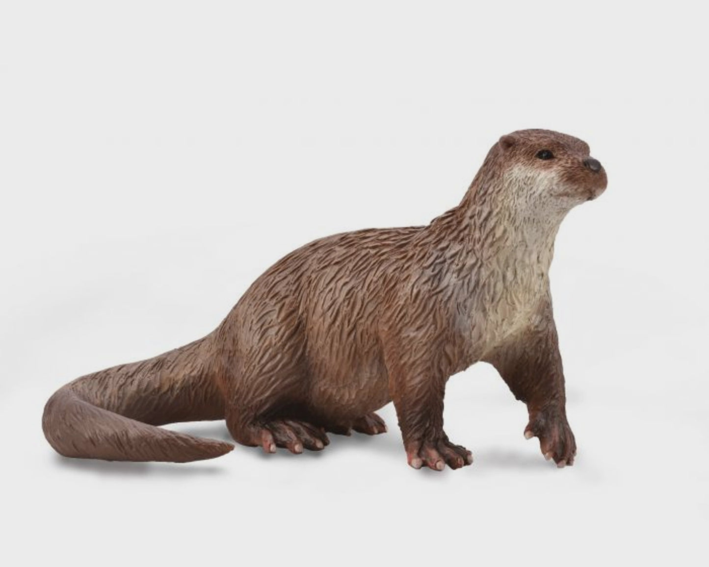 Common Otter - M (Red)