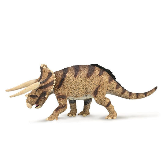 Triceratops Horridus -Confronting