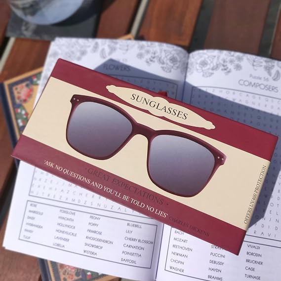 Sun Glasses In Box  Great Expectations