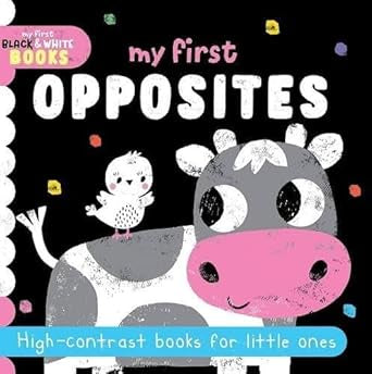 My First Black and White Board Book