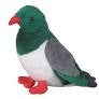 Kereru Wood Pigeon Sound